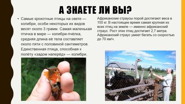 Урок чтения в 1 классе Муса Джангазиев 