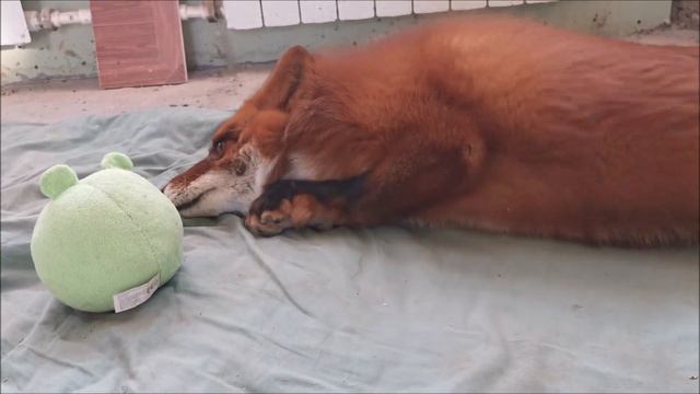 96c4ad1062a51f899ee34a0dbfc00405