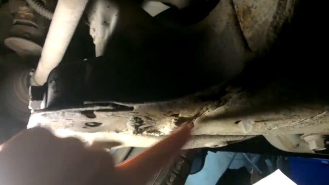 Радость от чистоты