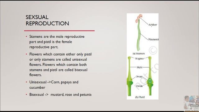 Ncert Science Class 7 Chapter 12 Summary