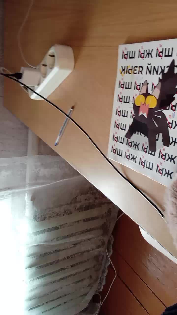 6ee381a230da5314bd4d8456938fcb7b