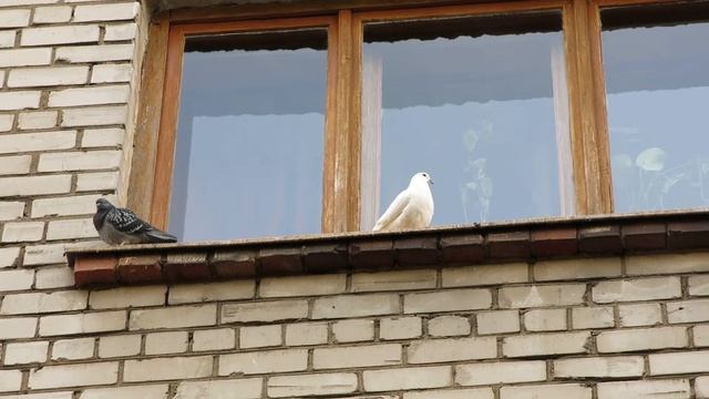 209ab5ea881d22a75377705486909d2b