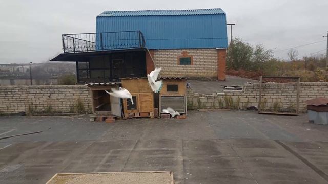 тренировка Турчат. в небольшой ветер, все и