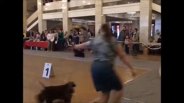 2fa7d0a6947102726860020d3b048abc