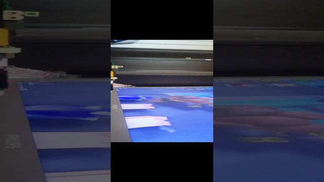 VID_20240915_130030.mp4