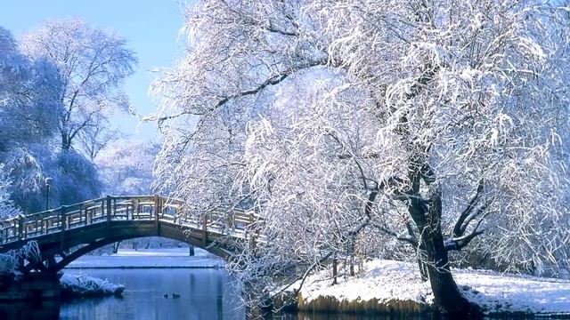 89e474981255a058246068fb0375a02d