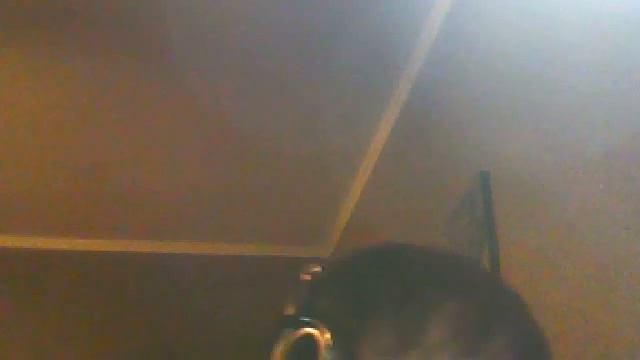 Видео с веб-камеры. Дата: 13 января 2014 г., 20:28.