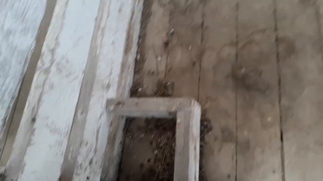 Класный холодный сарай для откорма