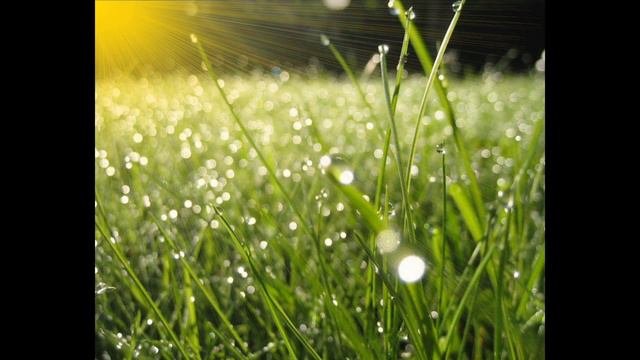 Жизнь прекрасна и удивительна.