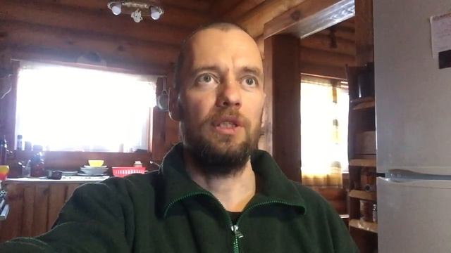 Как общаться с лесом. 4 элемента взаимодействия.