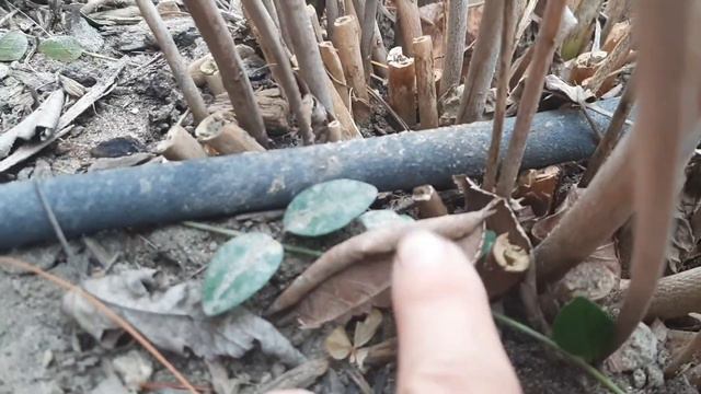 C5fb2b084572deb34fdce1af819be924