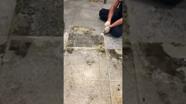 Как оттирать клей после ковролина