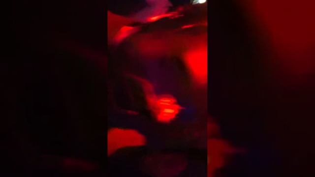 Mad Night At The Tavern (Halloween)