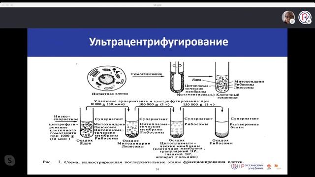 ЕГЭ 2020 по биологии  Методы научного познания