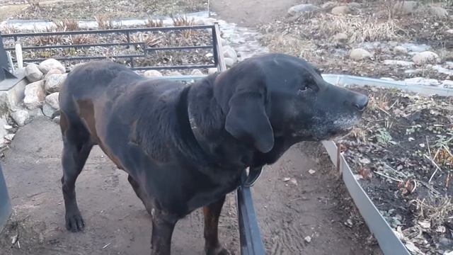 20970900669ff9b4b51a66e468f92daf