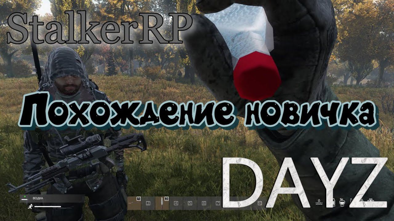 Похождение новичка DAYZ | STALKER RP.