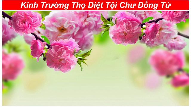 Kinh Trường Thọ Dành Cho Người Vô Sinh, Phá Thai, Vong Thai Theo Phá