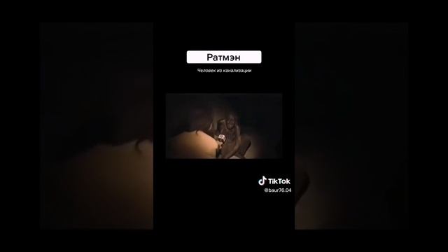 Дом своей мечты: руководство для начинающих