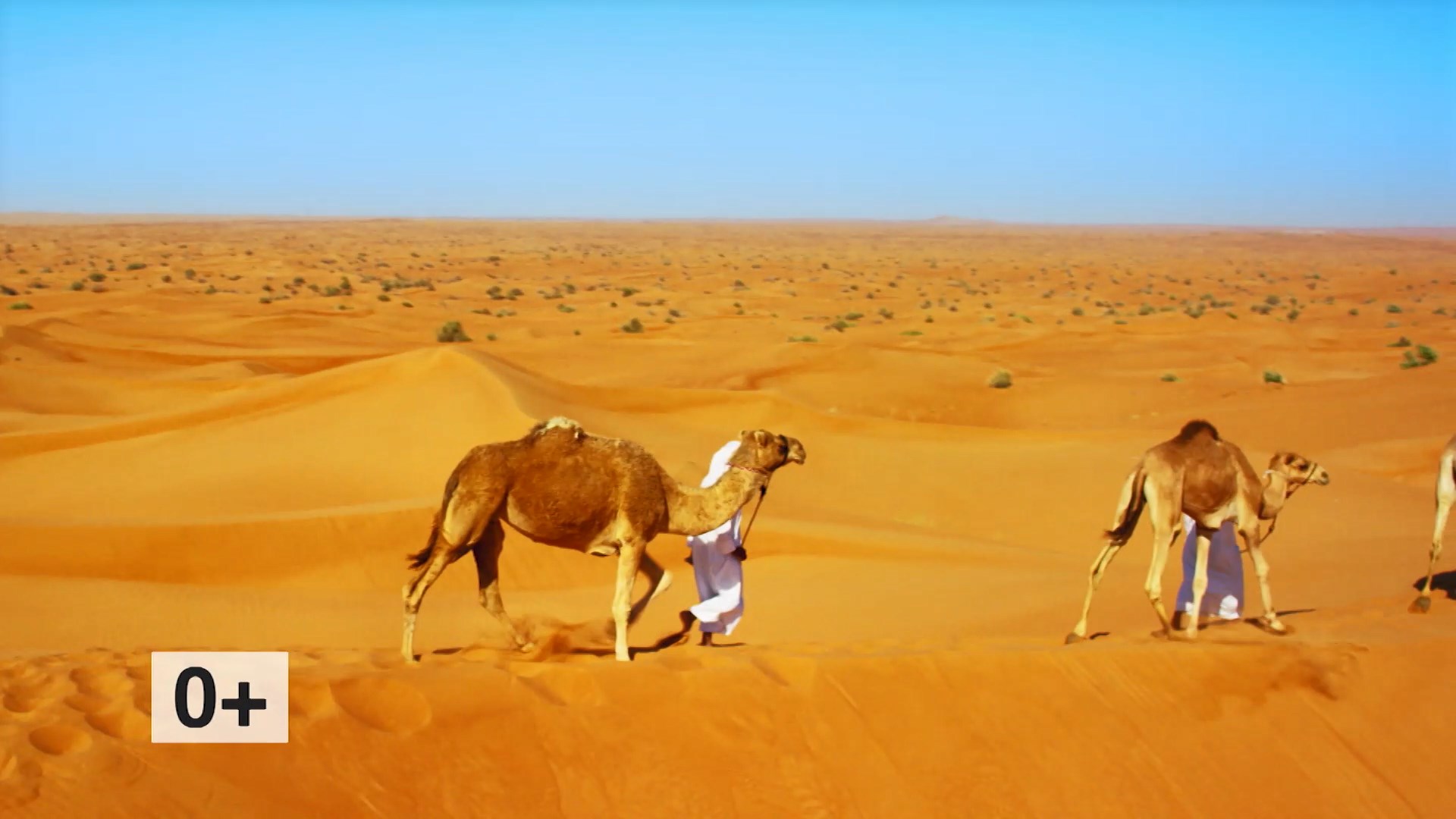 ФОНБЕТ КУБОК МАТЧ ПРЕМЬЕР. Царство песка