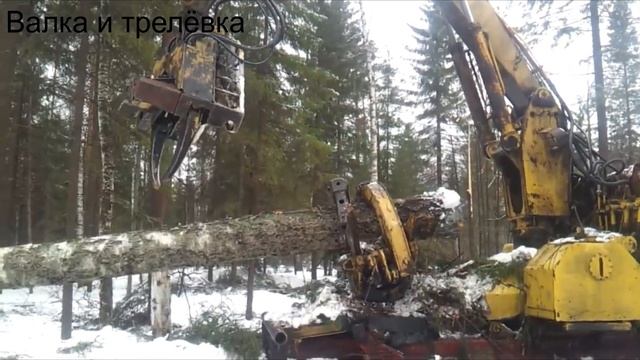 Старый ЛП-49 из СССР, сам вали и трелюет.
