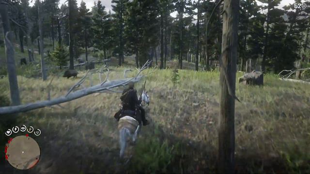 Red Dead Redemption 2_летающий кабан