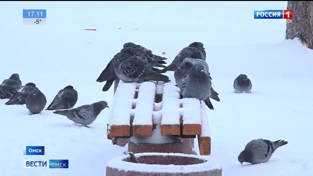 Неизвестный Омск Новая Московка