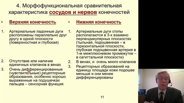 Анатомия. Морфофункциональные различия верхней и нижней конечностей