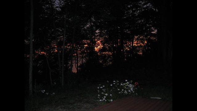 Lad, A Dog Parts 1 & 2 By Jon Deak