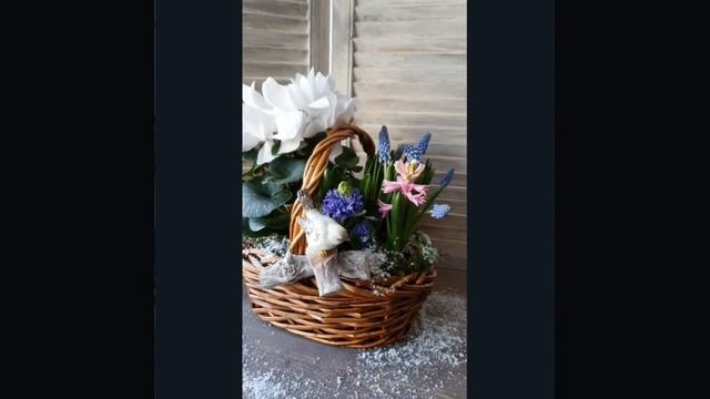 Весенняя композиция из луковичных своими руками
