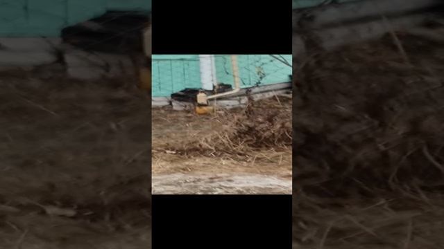 D318031c74ae05ee0ff147d637741cdb