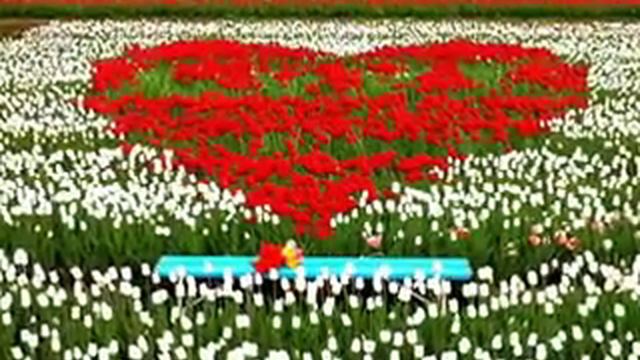 С Днем Рождения, любимый!