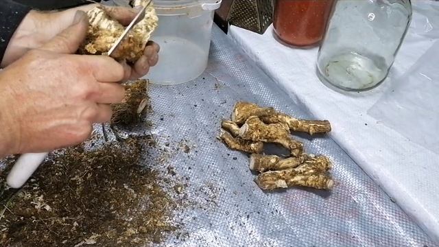 7bf4d30a356276e6dbda3c73a429e821