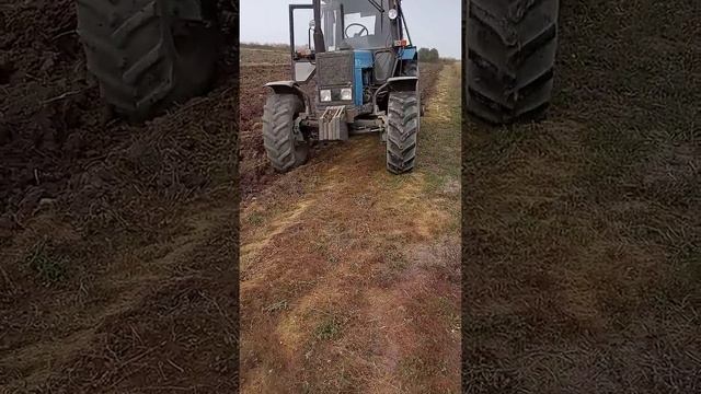 1b6ec1153f66cb22d0001299f03e9240