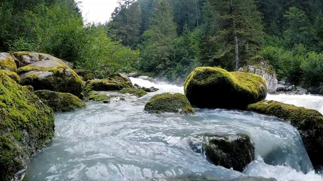 Водопад в лесу   4K