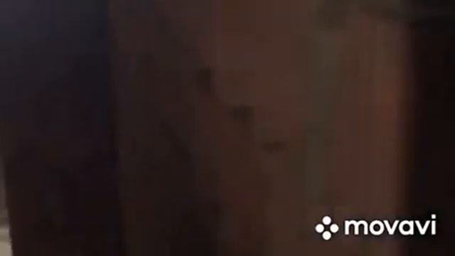 Объект 5833462. Специалист Бурлакова Анна