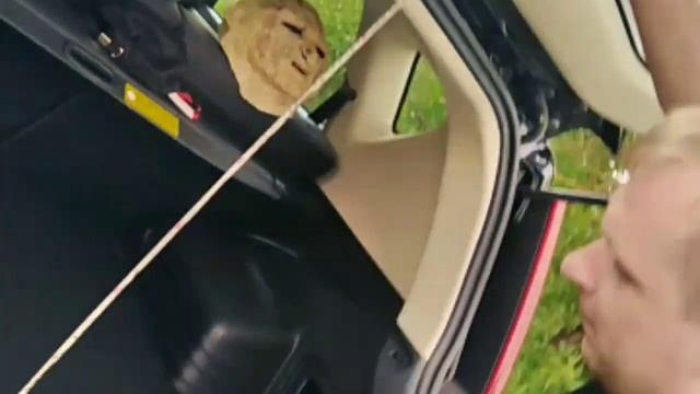 Радуга Тепла