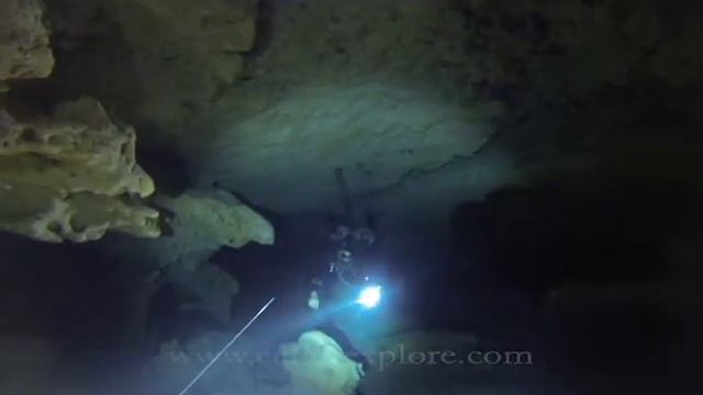 Кейв дайвинг с Cenote Xplore. Мексика.Юкатан.