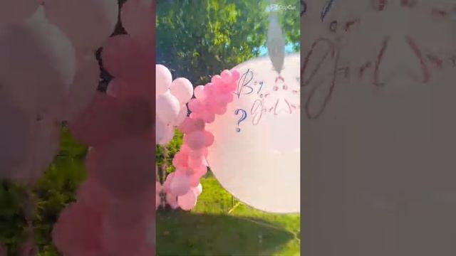 Gender party мальчик или девочка? Красивая фото зона #фотозона #мальчикилидевочка #узнать_пол