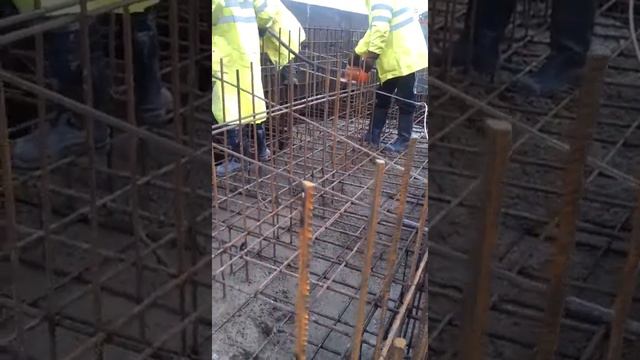 76cd5fecd9054d984a88a2760b184905