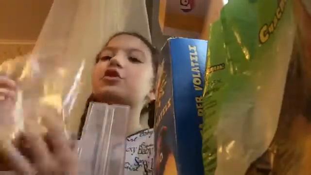 Утро моих попугаев 🐦🐤