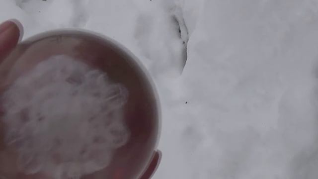 8000 Cфера АШ -работа с Путем.