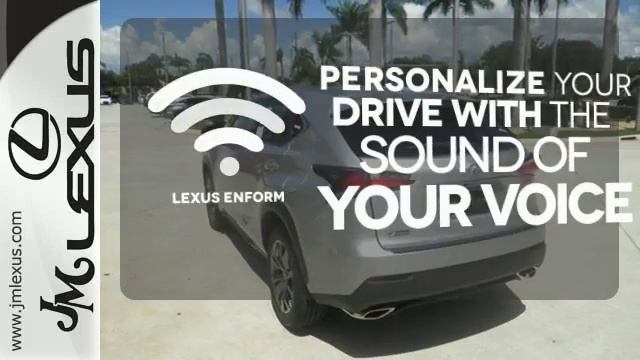 New 2017 Lexus NX 200t Margate FL Fort Lauderdale, FL #705759 - SOLD