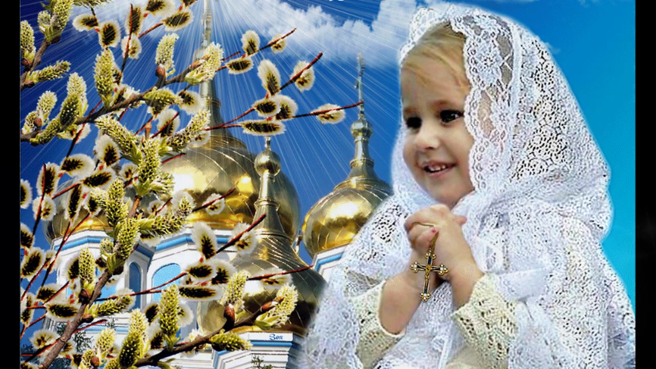 F34415f5a291ab6863479446debece72