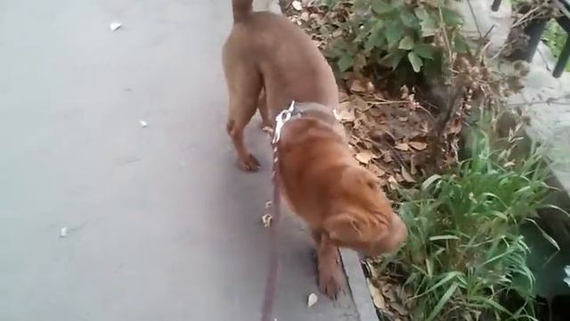 6c81a5e3ab682d9a3268ce923680c2c5