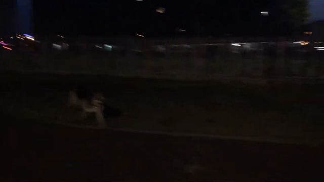 ВЕОЛАР САМАНТА