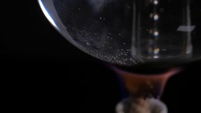 The Language Of Flowers