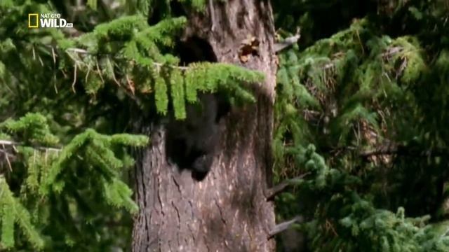 396f4d67fc16e00dbc5453f977340bb3