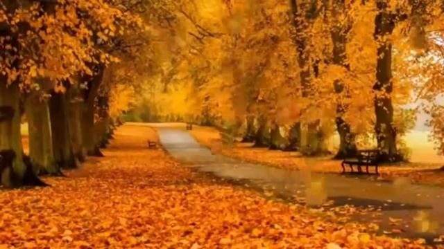 Radio Online - клип - Осень за окном