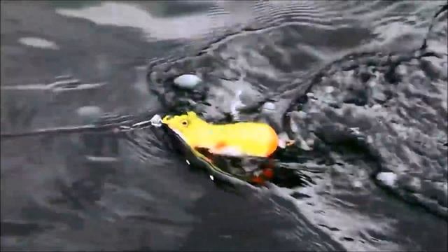 Часть II. Уловистые и недооценённые у нас топвотеры. The Best Surface Lures!