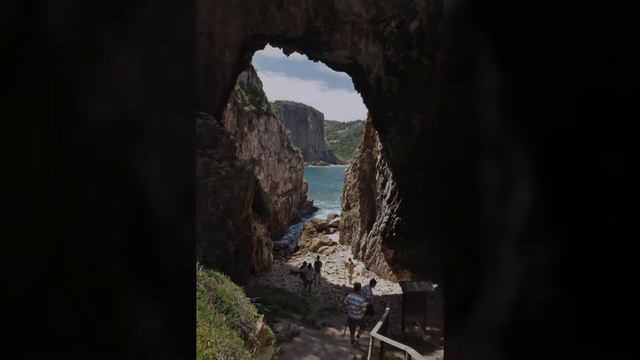 South Africa Travel Knysna Featherbed Park